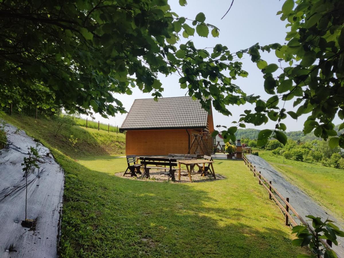 Chaty Na Cholewicy Domki Caloroczne Solina  Exteriér fotografie